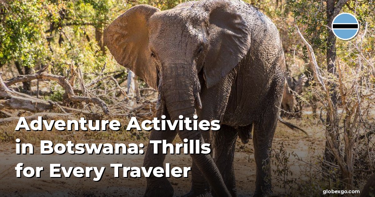 Adventure Activities in Botswana: Thrills for Every Traveler