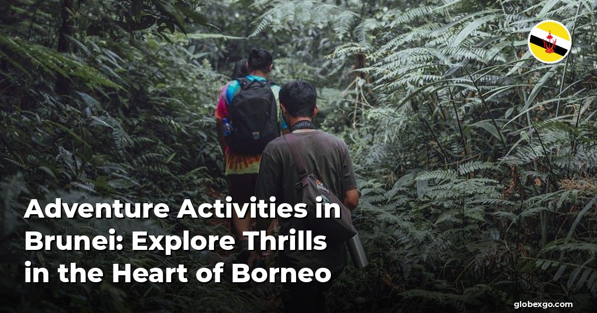 Adventure Activities in Brunei: Explore Thrills in the Heart of Borneo