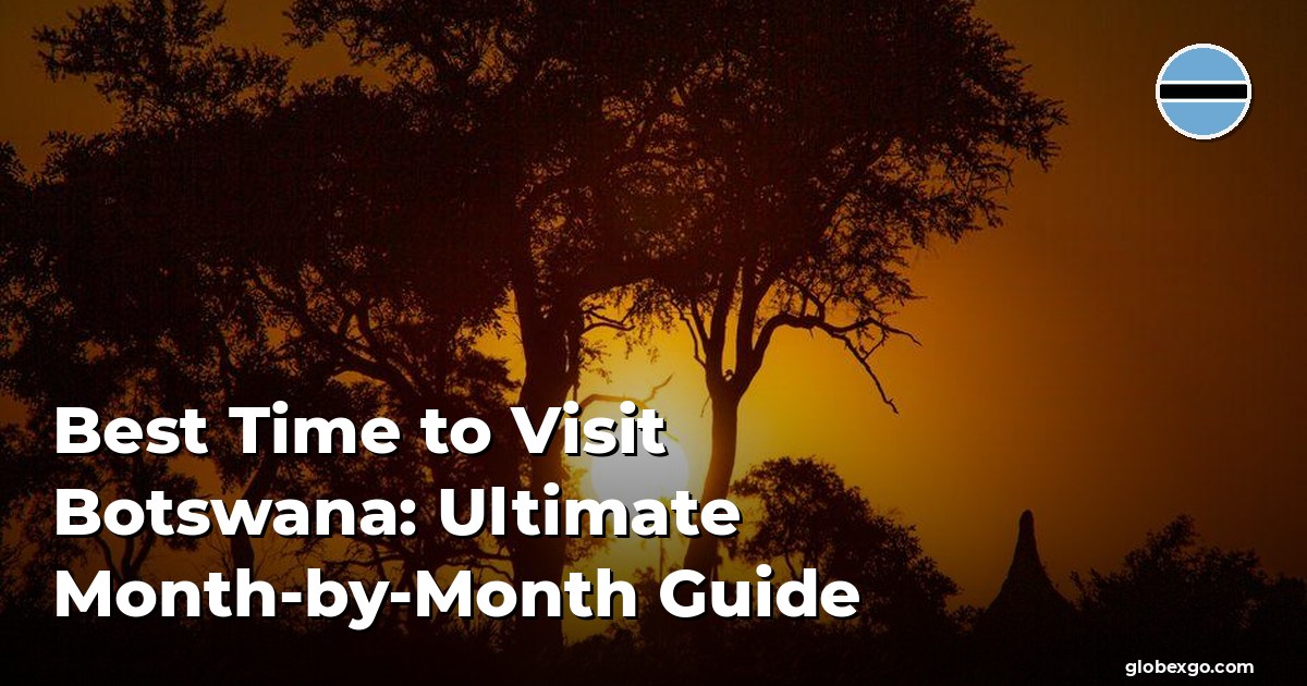 Best Time to Visit Botswana: Ultimate Month-by-Month Guide