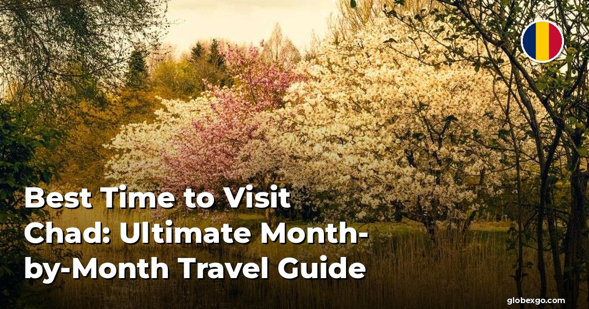 Best Time to Visit Chad: Ultimate Month-by-Month Travel Guide