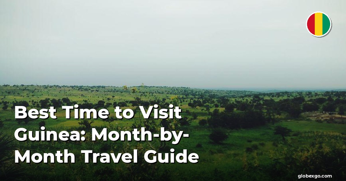 Best Time to Visit Guinea: Month-by-Month Travel Guide