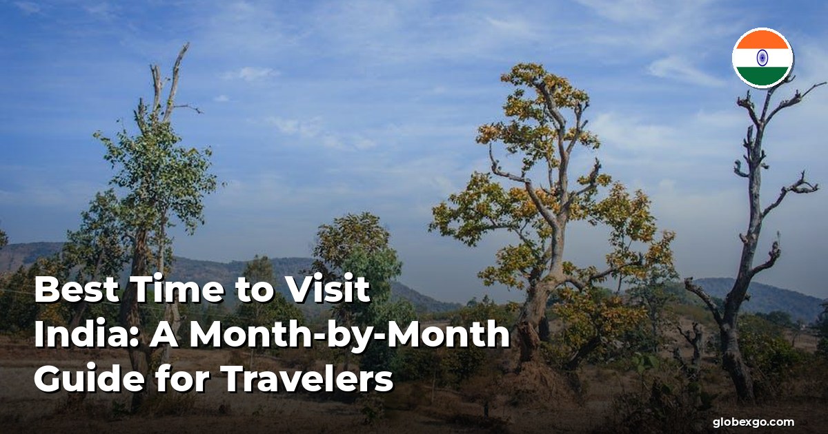 Best Time to Visit India: A Month-by-Month Guide for Travelers