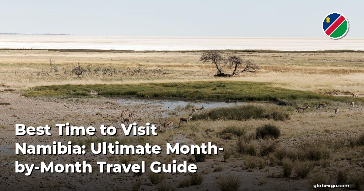 Best Time to Visit Namibia: Ultimate Month-by-Month Travel Guide