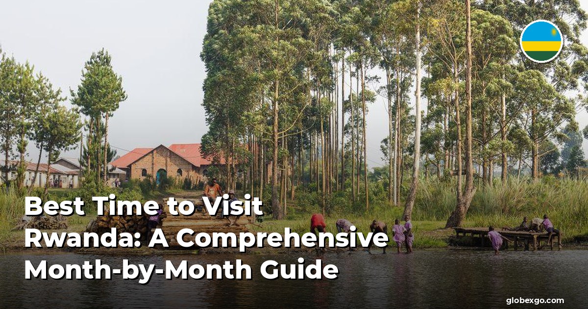 Best Time to Visit Rwanda: A Comprehensive Month-by-Month Guide