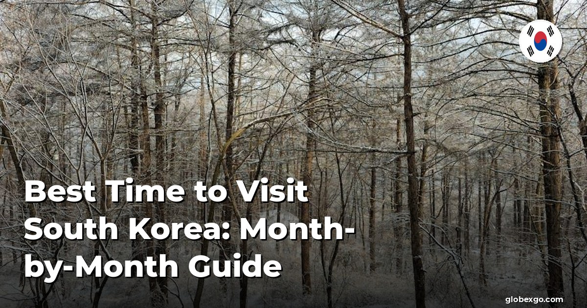 Best Time to Visit South Korea: Month-by-Month Guide