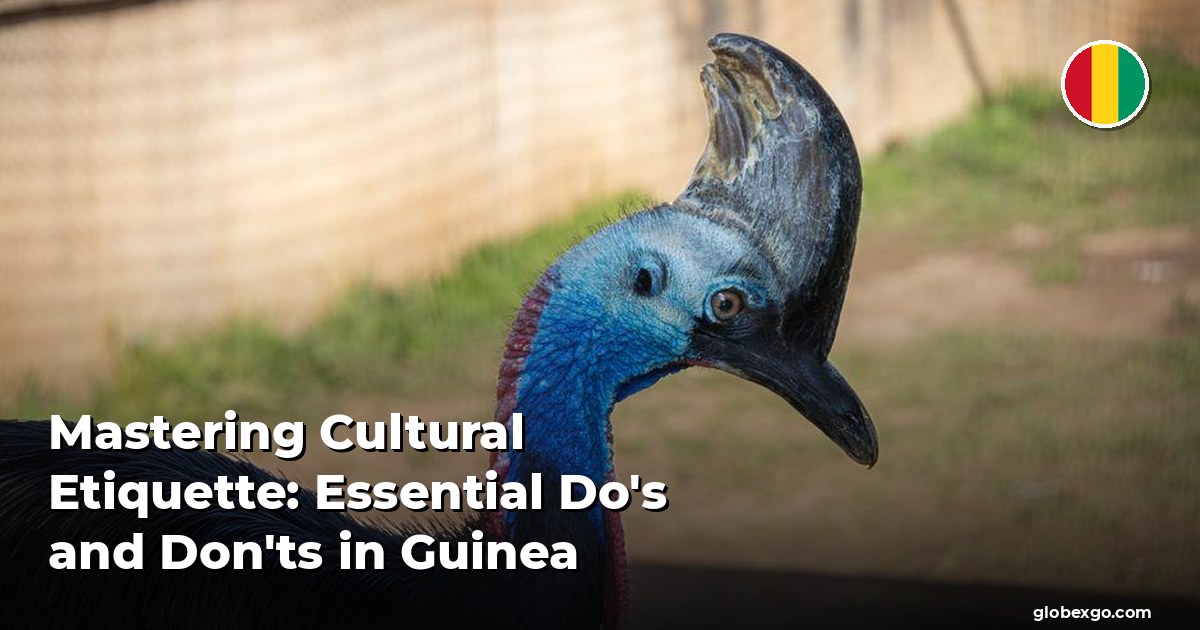 Mastering Cultural Etiquette: Essential Do's and Don'ts in Guinea